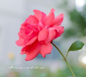 PostcardsfromColorado-0704-2