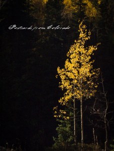 PostcardsfromColorado-1010