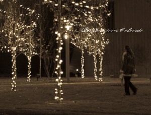 PostcardsfromColorado-1216