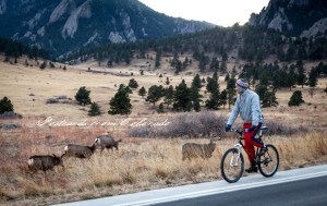 PostcardsfromColorado-1219