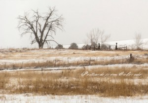 PostcardsfromColorado-130109