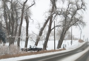 PostcardsfromColorado-130115