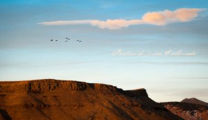 PostcardsfromColorado-130126