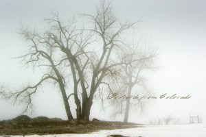 PostcardsfromColorado-130202
