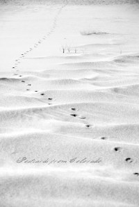 PostcardsfromColorado-130208