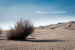PostcardsfromColorado-130209
