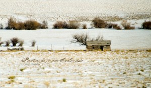 PostcardsfromColorado-130213-2
