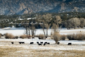 PostcardsfromColorado-130217