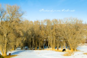 PostcardsfromColorado-130304