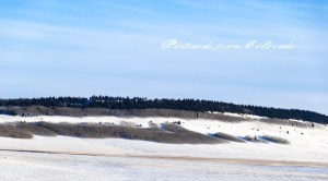 PostcardsfromColorado-130307