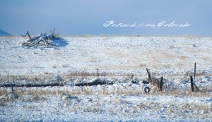 PostcardsfromColorado-130308