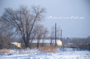 PostcardsfromColorado-130310