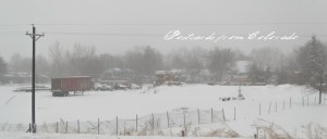 PostcardsfromColorado-130313