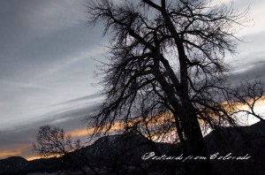 PostcardsfromColorado-130318