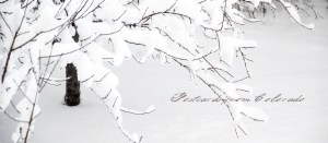 PostcardsfromColorado-130325