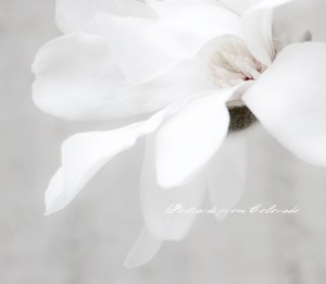 PostcardsfromColorado-130427