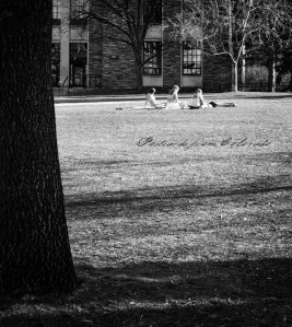 PostcardsfromColorado-130504