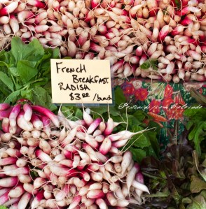 PostcardsfromColorado-130525