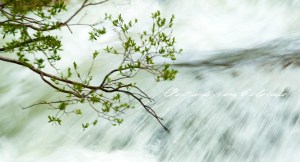 PostcardsfromColorado-130615