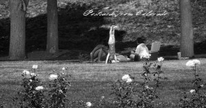 PostcardsfromColorado-130713