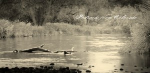 PostcardsfromColorado-130720