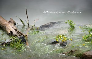 PostcardsfromColorado-130912