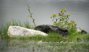 PostcardsfromColorado-130914