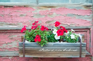 PostcardsfromColorado-130924