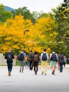 PostcardsfromColorado-131009