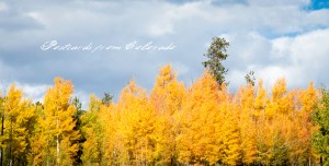 PostcardsfromColorado-131010