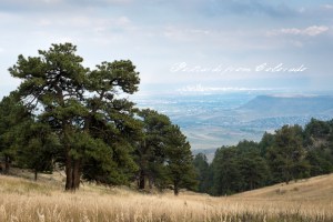 PostcardsfromColorado-131013