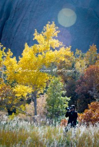 PostcardsfromColorado-131014