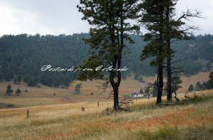 PostcardsfromColorado-131016