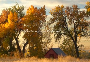 PostcardsfromColorado-131025