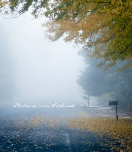 PostcardsfromColorado-131030