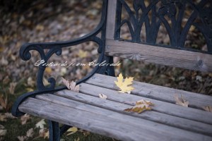 PostcardsfromColorado-131031