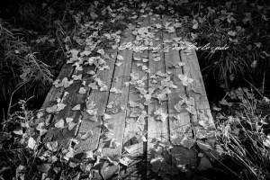 PostcardsfromColorado-131103