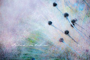 PostcardsfromColorado-131114