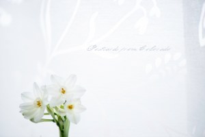 PostcardsfromColorado-131125