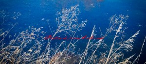 PostcardsfromColorado-131126