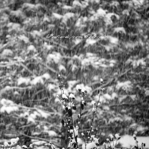 PostcardsfromColorado-131204