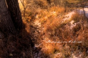 PostcardsfromColorado-131215