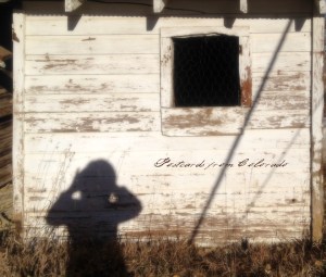 PostcardsfromColorado-131231