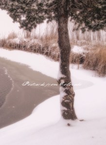 PostcardsfromColorado-140106