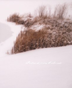 PostcardsfromColorado-140107