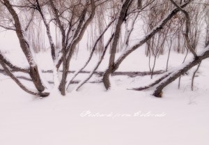 PostcardsfromColorado-140109