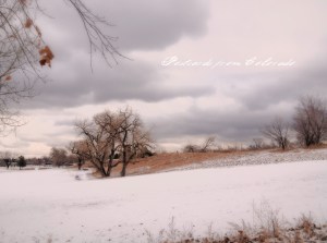 PostcardsfromColorado-140114