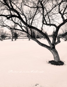 PostcardsfromColorado-140124