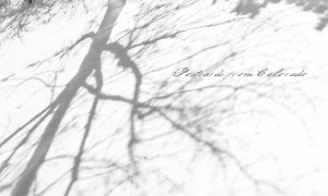 PostcardsfromColorado-140128
