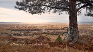 PostcardsfromColorado-1400307